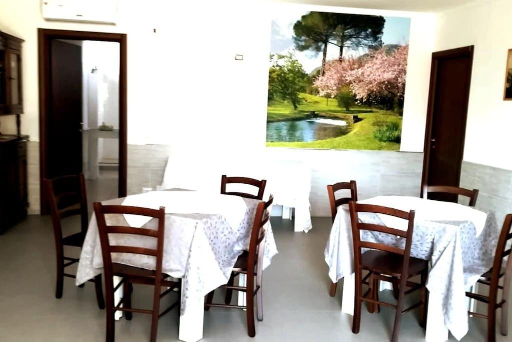 Old Club Casa Vacanze Carlo Trani อาพริเลีย ภายนอก รูปภาพ
